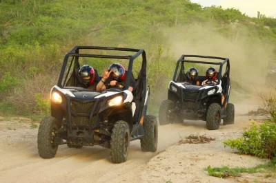 Erlebe cabo san lucas wild und authentisch bei einer kleinen utv-tour auf privaten trails mit dem zweiten felsenbogen und frischen baja-quesadillas – inklusive abholung und wasser.