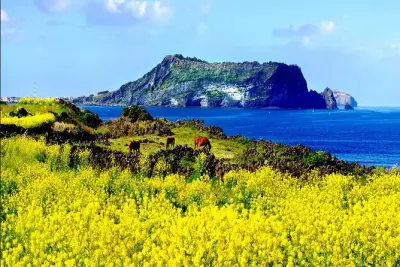 Tour privato a Jeju con guida locale per una giornata su misura