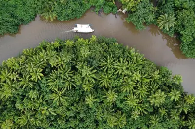 Snorkel em Raiatea: Passeio de um dia em canoa moderna com balançar