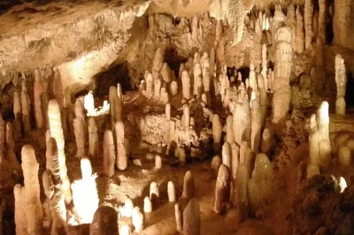 Barbados entdecken: mit der tram durch harrison’s cave, durch hunte’s garden schlendern und den wilden atlantikwind an bathsheba beach spüren. inkl. hoteltransfer.