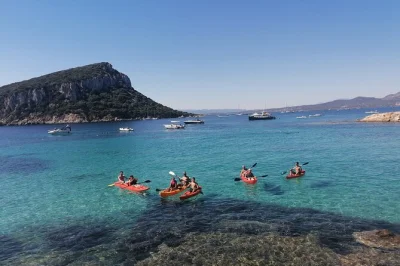 Erlebe sardiniens cala moresca vom kajak aus, entdecke delfine bei figarolo und genieße einen typisch sardischen aperitif mit lokalen guides. inklusive ausrüstung und betreuung.