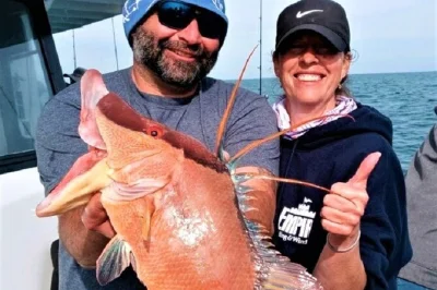 Von madeira beach aus startet dein halbtägiger angelausflug nahe john's pass. fang snapper, porgies & seebarsch und lass deinen frischen fang direkt nebenan zubereiten. köder inklusive.
