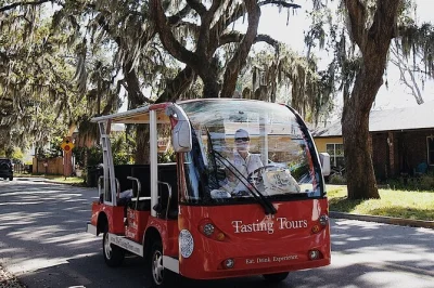 Scopri i quartieri di st. augustine con un tour enogastronomico progressivo, a bordo di un veicolo elettrico con autista, guidato da esperti locali e con degustazioni sedute in quattro locali unici.