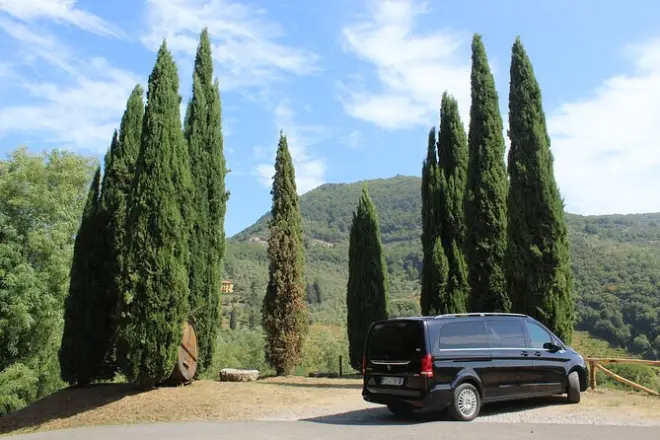 Wine tasting in a Tuscan vineyard: Transfer from Pisa