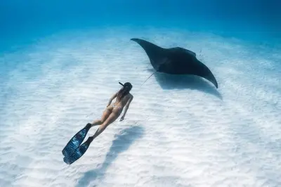 Snorkeling a Nusa Penida: 3 baie e viste dalle scogliere