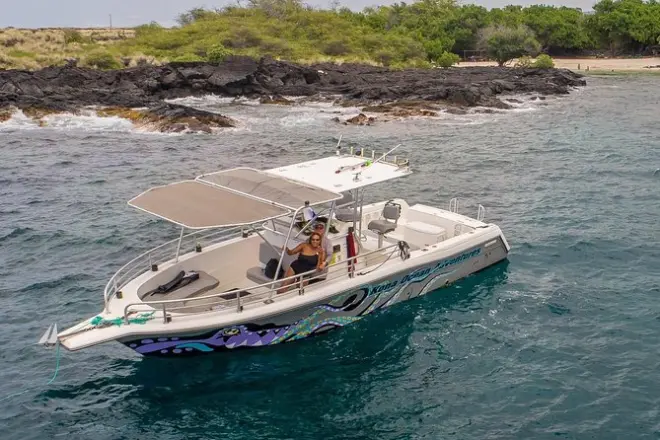 Big Island : Nage avec dauphins à la baie de Kealakekua
