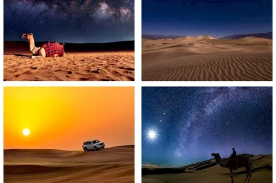 Vivi il vento del deserto vicino a doha con un safari notturno: giro in cammello, dune bashing e tè a sealine beach. include pick-up, guida locale e acqua in bottiglia.