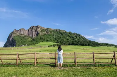 Seogwipo Jeju Island Tour: Waterfalls & Volcanic Cliffs