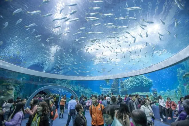 Tour di mezza giornata a Nha Trang: Museo, torri e chiesa di pietra
