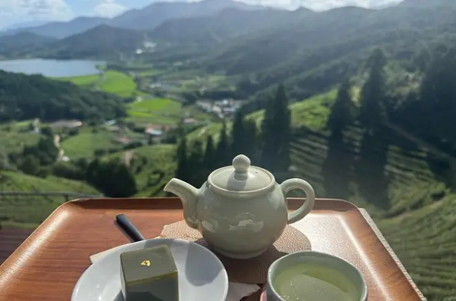 Tour privado de té verde coreano de Boseong a Gangjin