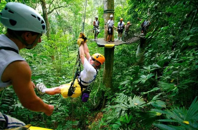 Canales de Tortuguero y tirolesa con fauna del bosque lluvioso