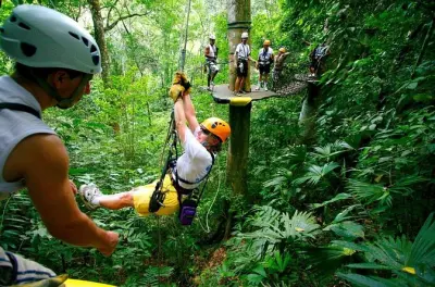 Canales de Tortuguero y tirolesa con fauna del bosque lluvioso