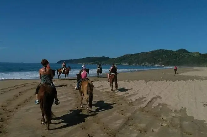 Équitation à Zihuatanejo : Plage de Playa Larga