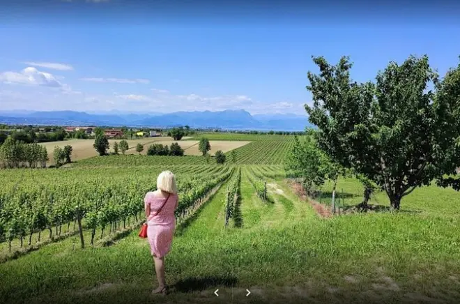 Dégustation de vins Lugana et visite du vignoble au lac de Garde