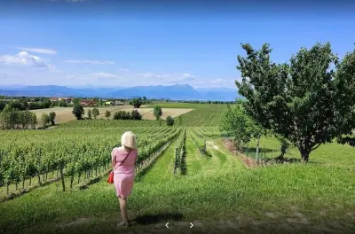 Lugana-Weinverkostung & Weinbergführung am Gardasee