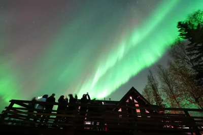 Watch the northern lights near fairbanks from a cozy alaskan cabin, with ridge-top views, snacks, and warm drinks. includes hotel pickup and late-night stay.