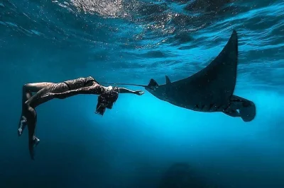 Erlebe nusa penida: schnorcheln mit mantarochen und schildkröten, besuch am kelingking beach, privater transfer, mittagessen und rundum-sorglos-service ab bali.