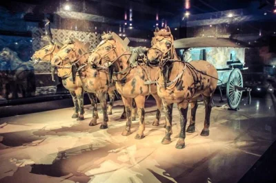 Step into xi’an’s ancient world with a private terracotta warriors tour, local lunch, and optional tang dynasty show. includes hotel pickup, guide, and all tickets.