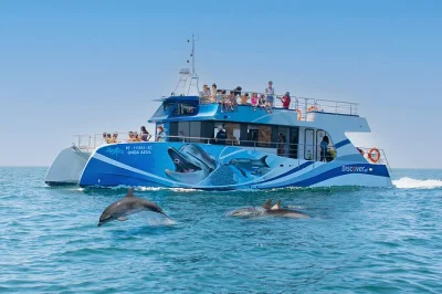 Feel the thrill of dolphin watching near lagos, cruise past ponta da piedade’s cliffs, enjoy water activities, and relax with a snack—includes live guide and flexible voucher.