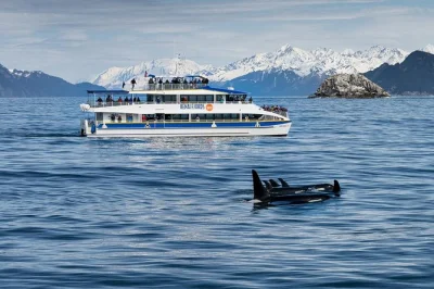 Découvrez les glaciers d’aialik bay, observez baleines et macareux, et savourez un déjeuner simple lors de cette croisière de 6 heures dans les kenai fjords avec sièges chauffés et commentaires