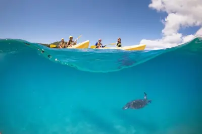 Kayakfahren in Byron Bay: Mit Delfinen im Meeresschutzgebiet paddeln