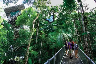 Daintree Discovery Centre: Regenwald auf drei Ebenen