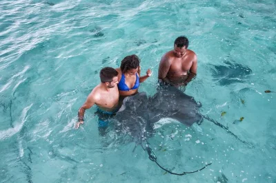 Curious about bora bora’s lagoon? swim with sharks & rays, snorkel coral gardens, and hear polynesian legends on a relaxed eco cruise with local guide & gear included.
