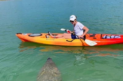 Feel the hush of sarasota’s mangrove tunnels, spot dolphins and manatees in little sarasota bay, and paddle with a local guide. includes all gear and flexible timing.