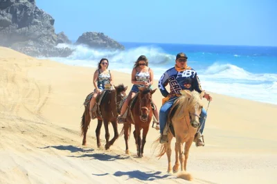 Erlebe die frische brise von baja bei einem pferderitt am weißen strand in cabo mit lokalen guides, meerblick und inklusive tequila-verkostung. abholung und ausrüstung inklusive.