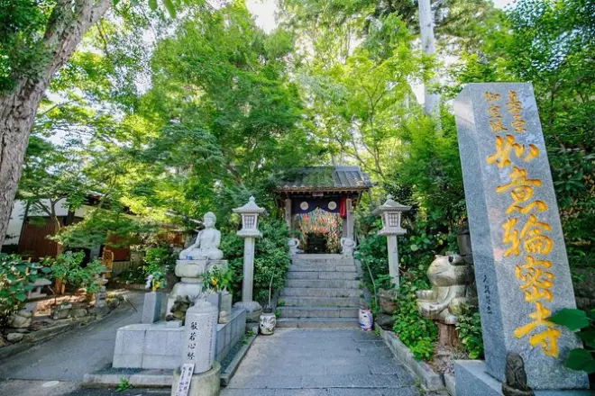 Yufuin e Beppu Hell da Fukuoka: Tempio, lago e sorgenti termali