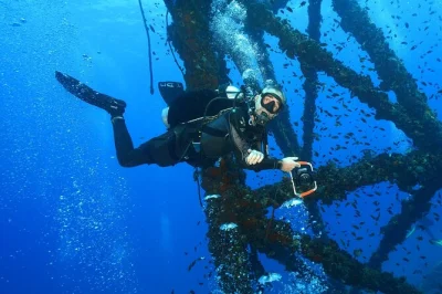Vive la emoción de bucear en el naufragio htms chang y los coloridos arrecifes de koh chang, con recogida en hotel, almuerzo, equipo y guía local para buzos certificados.