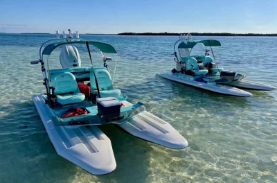 Feel the wind on a key west mini catamaran eco tour—explore mangroves, swim at sandbars, spot wildlife, and cruise with a local guide. includes all gear.