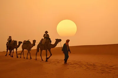 Erlebe marokkos landschaften von marrakech bis merzouga, entdecke alte kasbahs, reite bei sonnenuntergang auf kamelen und schlafe unter dem sternenhimmel der sahara. inkl. abholung & lokaler guide.