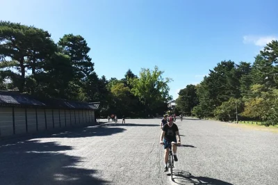 Feel the rhythm of kyoto by bike, from golden pavilion to fushimi inari, with a local guide, lunch, and small group energy. includes bike, helmet, and water.