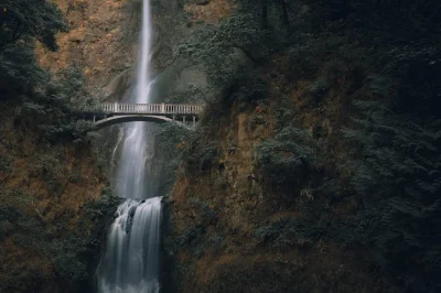 Descubre la fuerza de multnomah falls, recorre senderos verdes y disfruta vinos boutique en un tour por la columbia river gorge con grupo pequeño y transporte incluido.