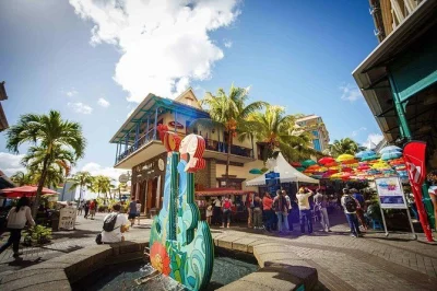 Feel the pulse of northern mauritius—botanical gardens, local markets, and rum tasting, all with private transport and a guide who knows every shortcut.