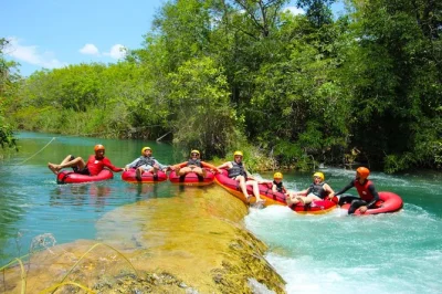 Slip into bonito’s rio formoso ecological park, just 7km from town. enjoy easy access, flexible transport, and a day wandering trails or relaxing by the water. ticket only.