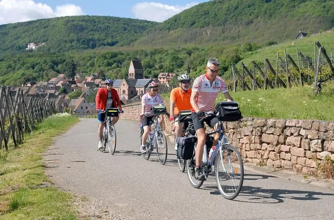 Alsace Wein-Dörfer Radtour: Private Radtour mit Weinprobe