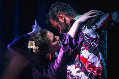 Erlebe sevilla bei einer flamenco-show in triana mit live-musik, leidenschaftlichem tanz und blick auf den fluss. rollstuhlgerecht und einfach online buchbar.