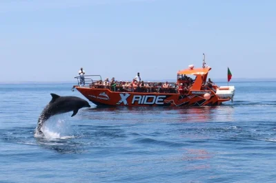 Siente la brisa del algarve en un paseo en barco desde albufeira, observa delfines salvajes, explora la cueva de benagil y nada cerca de playas secretas. incluye comentarios en vivo.