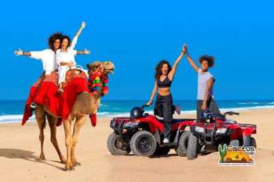 Erlebe die frische meeresbrise am migriño-strand bei einer atv-tour und kamelbegegnung nahe cabo. inklusive hoteltransfer, erfahrenen guides und einer tequila-verkostung zum abschluss.