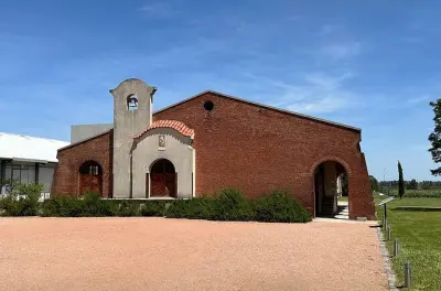 Bodega Bouza en Montevideo: Degustación de 4 vinos y menú chef