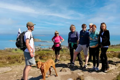 Erlebe die wilde küste von howth bei einer geführten wanderung ab dublin mit geheimen waldwegen, spektakulären klippenblicken und spannenden geschichten – plus zeit für pubs oder frischen fisch 