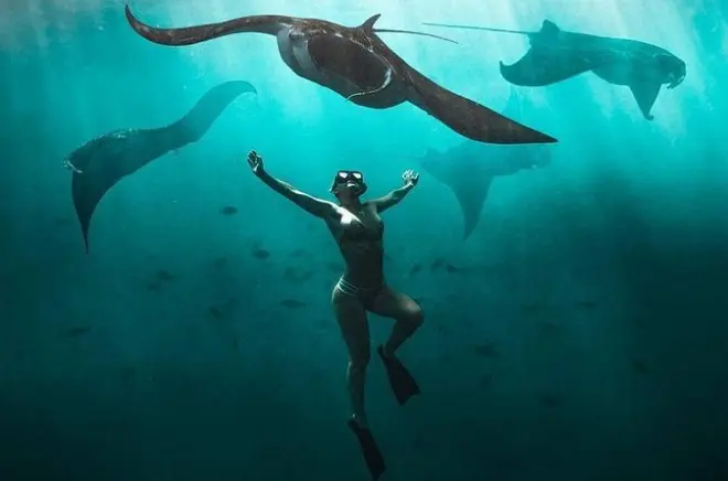 Mantarochen schnorcheln in Nusa Penida mit Ausrüstung inklusive