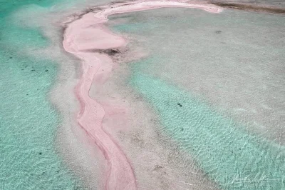 Descubre la arena rosa de la blue lagoon en rangiroa, observa delfines, prueba el cangrejo de coco y disfruta vino local en una isla privada—incluye recogida en el muelle.