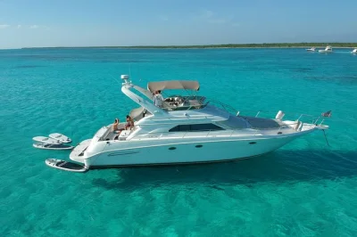 Step onto a private yacht along the riviera maya, snorkel inha reef with sea turtles, enjoy grilled chicken lunch, cocktails, and a local crew—includes all gear.