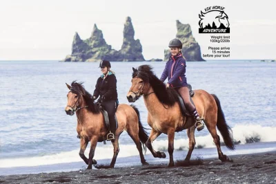 Feel the wild coast of vik on a black sand beach horse ride, guided by locals and perfect for beginners. includes icelandic horse, helmet, and easy booking.