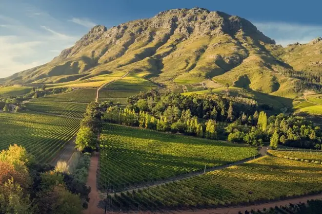 Stellenbosch Wine Walk: 8 tastings through three estates