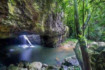 Feel rainforest mist at springbrook, see glow worms in tamborine’s cave, wander quirky gallery walk shops. includes small group, guide, entry fees & transport.