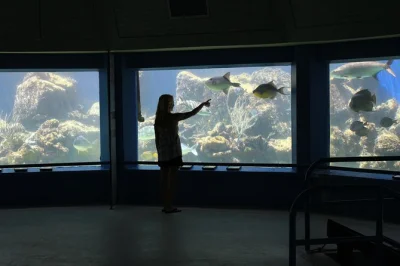Découvrez la vie marine de près à coral world ocean park à st thomas, admirez les poissons depuis l’observatoire sous-marin et profitez de la plage coki avec un accès illimité inclus.